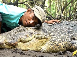 Kisah Nyata Persahabatan Buaya Riska dan Manusia di Kalimantan