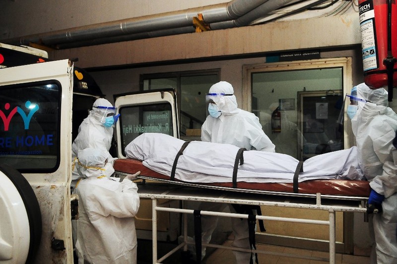 Anggota tim medis dari Kozhikode Medical College membawa sampel buah pinang dan jambu biji untuk melakukan tes virus Nipah di desa Maruthonkara di distrik Kozhikode, Kerala, India, 13 September 2023. Anggota tim medis dari Kozhikode Medical College membawa sampel buah pinang dan jambu biji untuk melakukan tes virus Nipah di desa Maruthonkara di distrik Kozhikode, Kerala, India, 13 September 2023. (REUTERS/Stringer)