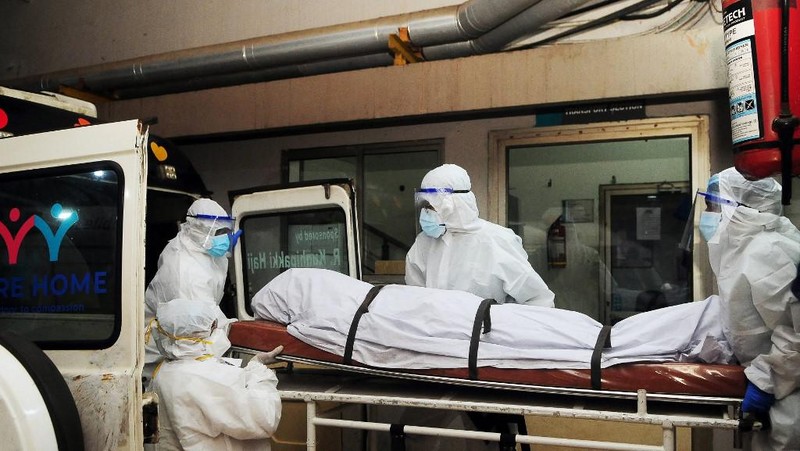 Anggota tim medis dari Kozhikode Medical College membawa sampel buah pinang dan jambu biji untuk melakukan tes virus Nipah di desa Maruthonkara di distrik Kozhikode, Kerala, India, 13 September 2023. (REUTERS/Stringer)