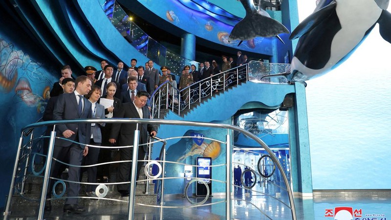 Pemimpin Korea Utara Kim Jong Un mengunjungi Vladivostok dan mengunjungi berbagai lokasi, termasuk Universitas Federal Timur Jauh, Akuarium Primorsky, dan Pabrik Bio-Feed Arnika, selama kunjungannya ke Rusia pada 17 September 2023, dalam gambar yang dirilis oleh Kantor Berita Pusat Korea pada tanggal 18 September 2023. (KCNA via REUTERS)