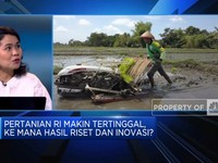 Pertanian RI Makin Tertinggal, Mana Hasil Riset & Inovasi?