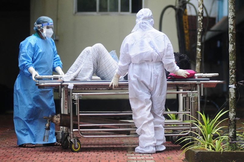 Anggota tim medis dari Kozhikode Medical College membawa sampel buah pinang dan jambu biji untuk melakukan tes virus Nipah di desa Maruthonkara di distrik Kozhikode, Kerala, India, 13 September 2023. Anggota tim medis dari Kozhikode Medical College membawa sampel buah pinang dan jambu biji untuk melakukan tes virus Nipah di desa Maruthonkara di distrik Kozhikode, Kerala, India, 13 September 2023. (REUTERS/Stringer)