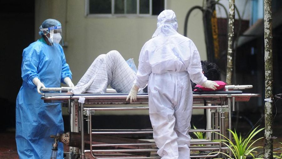Anggota tim medis dari Kozhikode Medical College membawa sampel buah pinang dan jambu biji untuk melakukan tes virus Nipah di desa Maruthonkara di distrik Kozhikode, Kerala, India, 13 September 2023. (REUTERS/Stringer)
