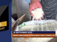 Beras Turun 2-3 Minggu Lagi Hingga Minyak Dunia Melompat