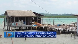 Luhut soal Investasi di Rempang: RI Untung, Barangnya Bagus!