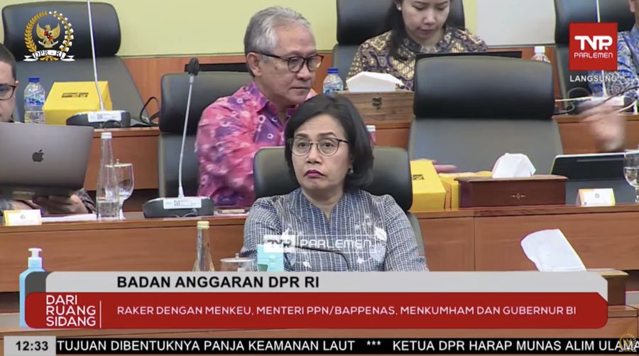 Menteri Keuangan Sri Mulyani Indrawati dalam Rapat Kerja dengan Badan Anggaran DPR RI. (Tangkapan Layar Youtube Banggar DPR RI)