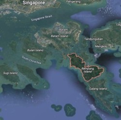 Simak! Ini Permintaan Xinyi ke Bahlil Soal Proyek Rempang