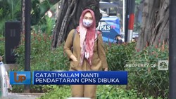 Catat! Malam Nanti Pendaftaran CPNS Dibuka
