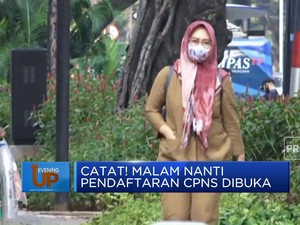 Catat! Malam Nanti Pendaftaran CPNS Dibuka