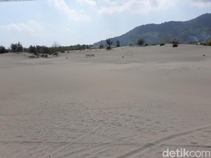 Gumuk Pasir Parangtritis Terancam Punah, Kini Tersisa 17 Hektare