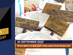 Harga Beras Meledak 60% Hingga OECD Ramal Dunia Makin Ngeri