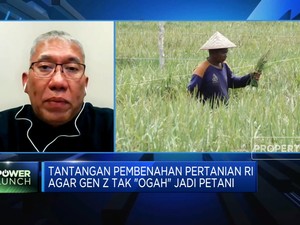 Jokowi Ingin Generasi Muda Jadi Petani, Tapi Terkendala Ini!