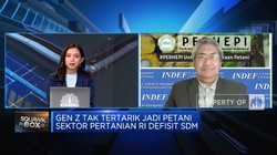 Jika Syarat Ini Terpenuhi, Anak Muda Mau Jadi Petani Milenial