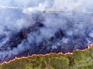 Modus Perusahaan Bakar Lahan: Pakai Petani, Pura-pura Mancing Lalu Dibakar