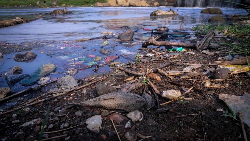 Penampakan Curug Parigi yang Tercemar, Hitam Pekat Hingga Bau Menyengat 24 Jam. (CNBC Indonesia/Faisal Rahman)