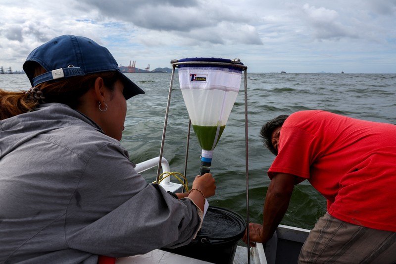 THAILAND-ENVIRONMENT/ An aerial view of green sea water caused by plankton bloom at Chonburi's coastline, Thailand, September 14, 2023. REUTERS/Napat Wesshasartar