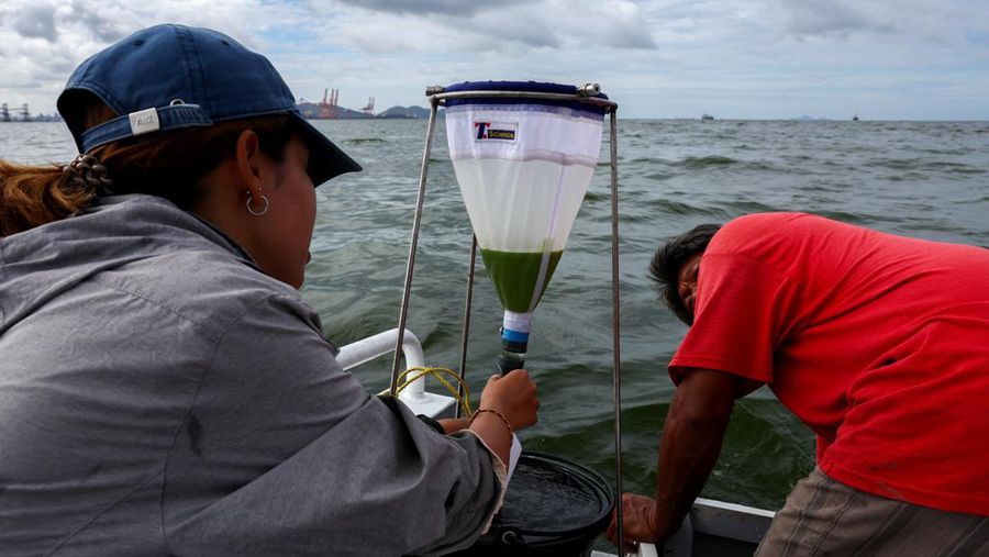 An aerial view of green sea water caused by plankton bloom at Chonburi's coastline, Thailand, September 14, 2023. REUTERS/Napat Wesshasartar
