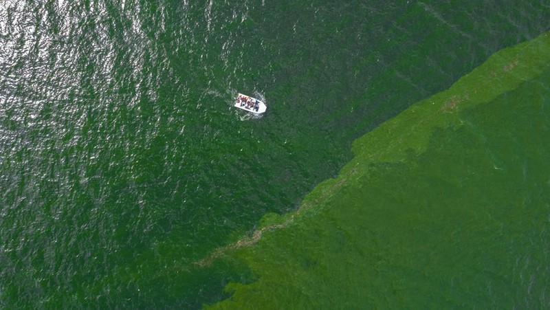 An aerial view of green sea water caused by plankton bloom at Chonburi's coastline, Thailand, September 14, 2023. REUTERS/Napat Wesshasartar