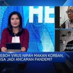 Belum Ada Obatnya, Pemerintah Harus Cegah Virus Nipah Masuk!
