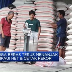 Harga Beras Pecah Rekor Lagi, Hari Ini Tembus Rp 13.000/Kg