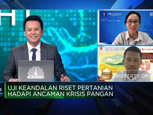 Ini Sebab Hasil Riset Belum Optimal Genjot Produksi Beras Cs