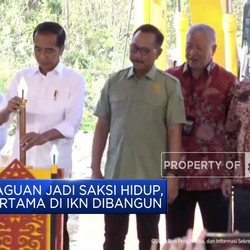 Ini Aguan, Konglomerat RI Pemimpin Konsorsium Investor IKN