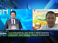 Jokowi Dorong Produksi Pangan, Riset Pertanian Siap Akomodir?