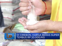 Pecah Rekor! Harga Beras Kualitas Medium Tembus Rp 14.000/Kg