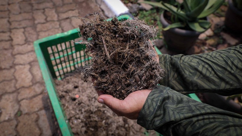 Pencampuran kotoran hewan dan sampah organik Pencampuran kotoran hewan dan sampah organik sebelum diolah menggunakan mesin Biodigister di Taman Margasatwa Ragunan (TMR), Jakarta, Kamis (21/9/2023). (CNBC Indonesia/Faisal Rahman)