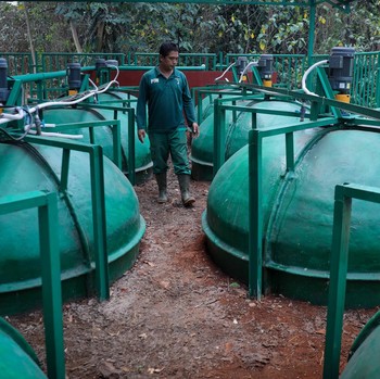 Simsalabim! Kotoran Hewan di Ragunan Disulap Jadi Gas-Listrik