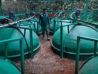 Simsalabim! Kotoran Hewan di Ragunan Disulap Jadi Gas-Listrik