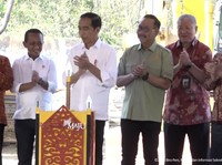 Aguan Cs Rogoh Rp 20 Triliun, Jokowi Sebut Ada Cuan di IKN