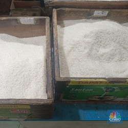 Pecah Rekor Baru, Harga Beras di 284 Lokasi Ini Meroket