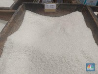 Pemerintah Kejar Target Stok Beras 2 Juta Ton