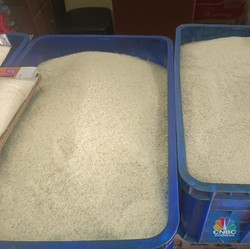 Parah! Harga Beras Naik Terus, Pecah Rekor Lagi ke Rp13.300