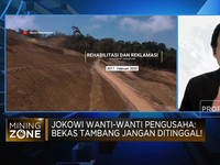 Aduh! Biaya Mahal & Tambang Ilegal Bebani Reklamasi Lahan