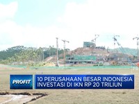 Jokowi: 10 Perusahaan Kelas 'Kakap' Resmi Investasi di IKN
