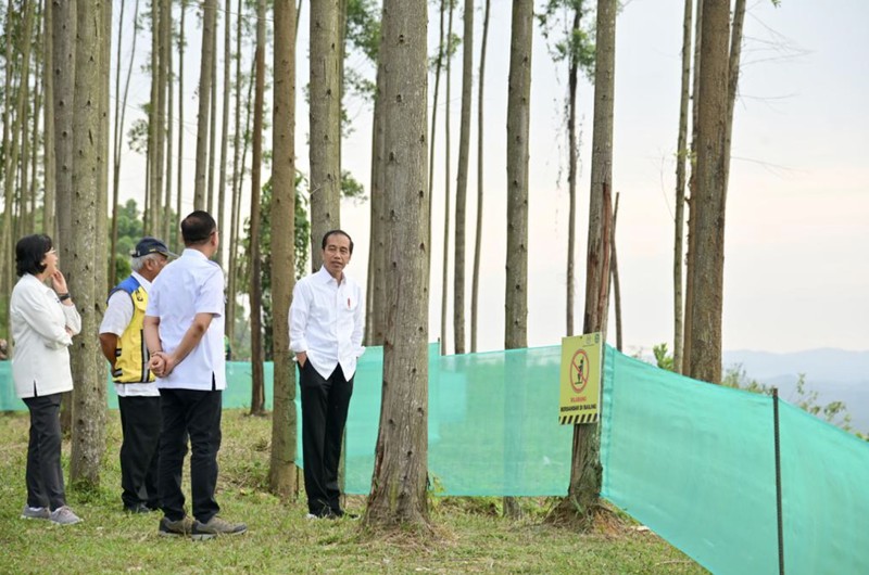 Jokowi Presiden Joko Widodo mengunjungi lokasi pembangunan kantor presiden di Ibu Kota Nusantara (IKN), Kalimantan Timur, Jumat (22/9/2023). (Tangkapan Layar x/@Jokowi)