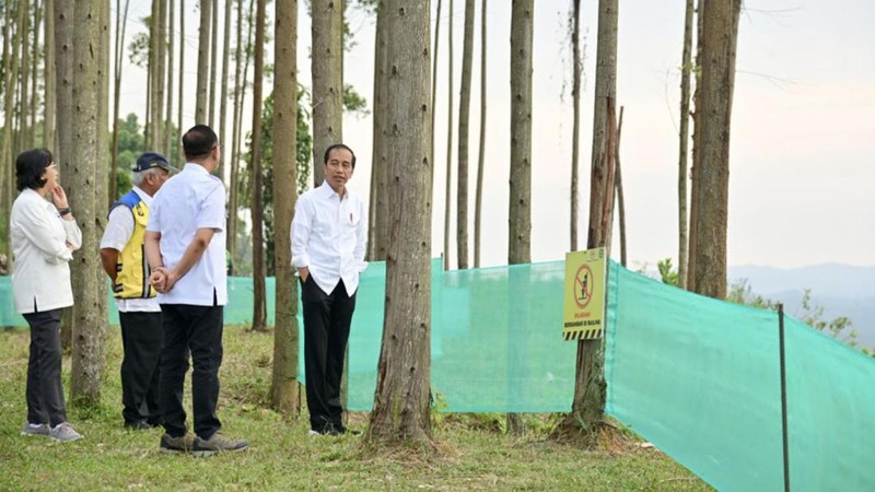 Presiden Joko Widodo mengunjungi lokasi pembangunan kantor presiden di Ibu Kota Nusantara (IKN), Kalimantan Timur, Jumat (22/9/2023). (Tangkapan Layar x/@Jokowi)