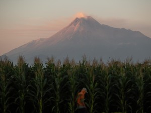 Gunung Merapi Luncurkan Awan Panas 2,4 Km ke Arah Kali Bebeng