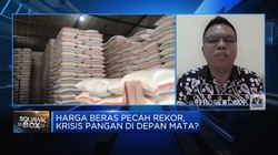 Video: Redam Lonjakan Harga Beras Cs, Pemerintah Lakukan Apa?