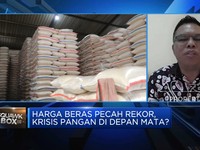 Video: Redam Lonjakan Harga Beras Cs, Pemerintah Lakukan Apa?