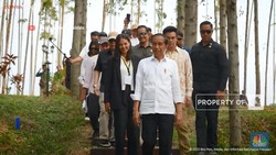 Jokowi Ajak Penggiat Seni Tinjau Pembangunan IKN