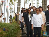 Jokowi Ajak Penggiat Seni Tinjau Pembangunan IKN