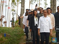 Jokowi Ajak Penggiat Seni Tinjau Pembangunan IKN