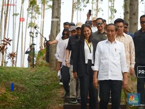 Jokowi Ajak Penggiat Seni Tinjau Pembangunan IKN