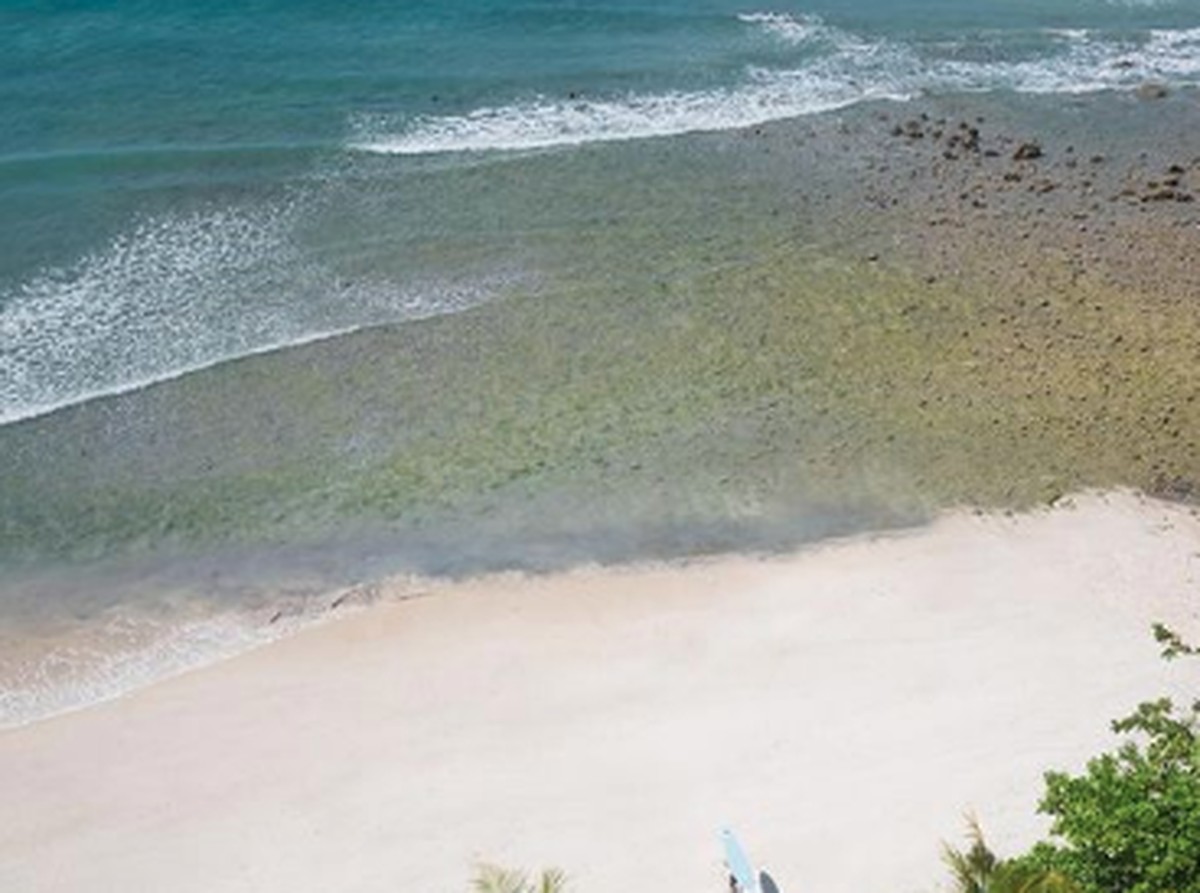 Penemuan Dunia yang Hilang di Sumba Ungkap Hewan Langka Ribuan Tahun Lalu