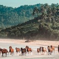 Heboh Dunia Hilang Ditemukan di Wilayah RI, Ini Lokasinya