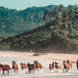 Heboh! Ilmuwan Temukan Dunia Hilang di Wilayah RI Ini
