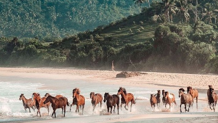 NIHI SUmba. (Instagram/@NIHI)